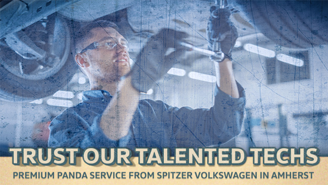 trust our talented techs with premium panda service from Spitzer Volkswagen in Amherst
