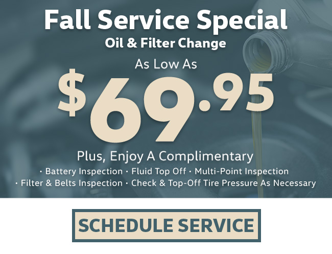 Fall Service Special