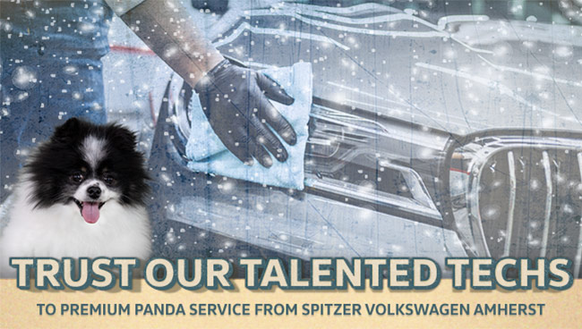trust our talented techs with premium panda service from Spitzer Volkswagen in Amherst