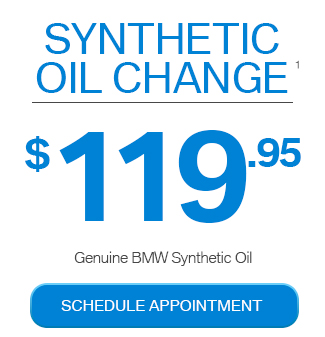 Snthetic Oil Change