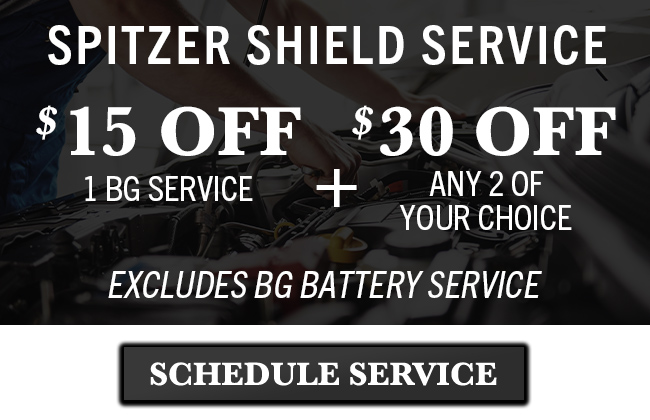 BG Battery service Special