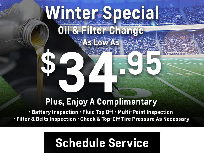 Winter Special - Oil & Filter