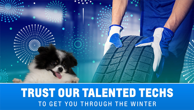trust our talented techs to get you through the winter