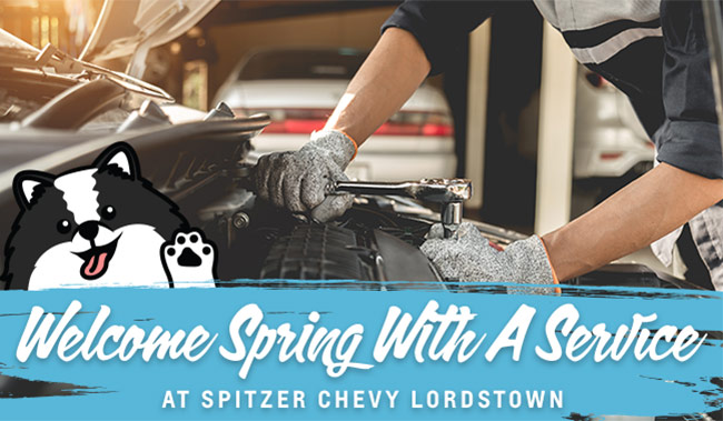 spring means service at Spitzer