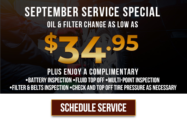 special on oil change and filter