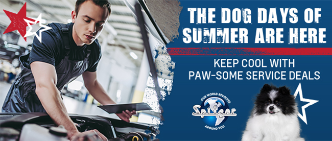 The dog days of summer are here -Keep cool with paw-some service deals