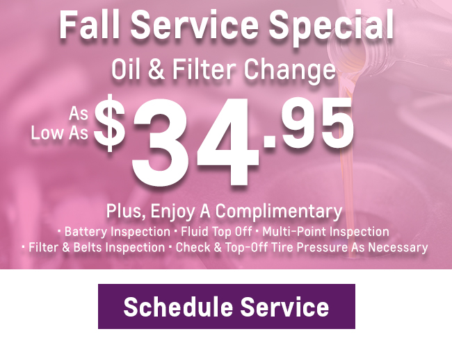 Fall Service Special