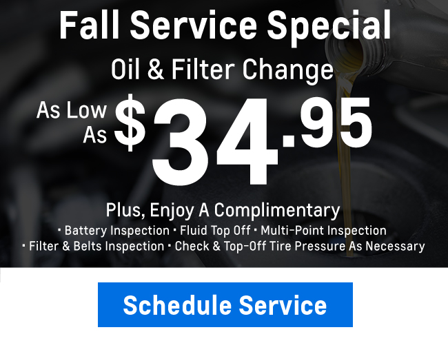 Fall service special