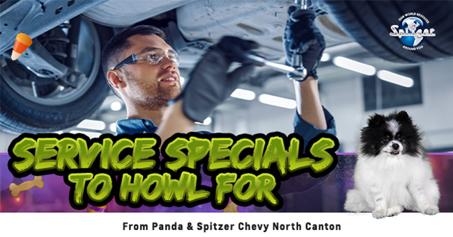 service specials to howl for: image of tech under car with halloween background