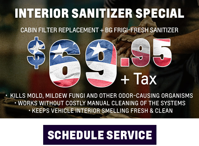 Interior Sanitizer Special