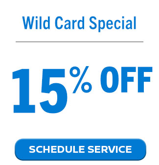 Wild Card Special 15% Off