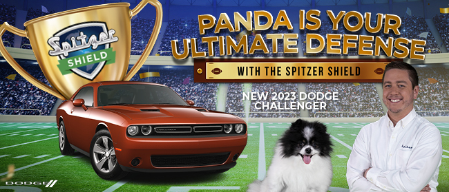 Panda is your ultimate defense with Spitzer Shield