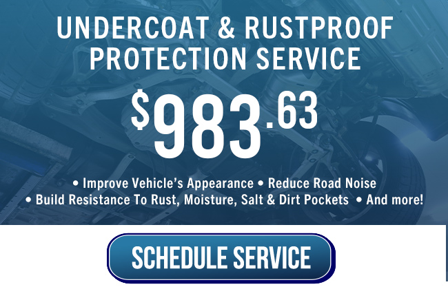 Undercoat and Rustproof Protection Service