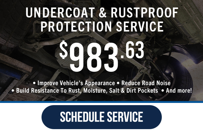 Undercoat and Rustproof Protection Service