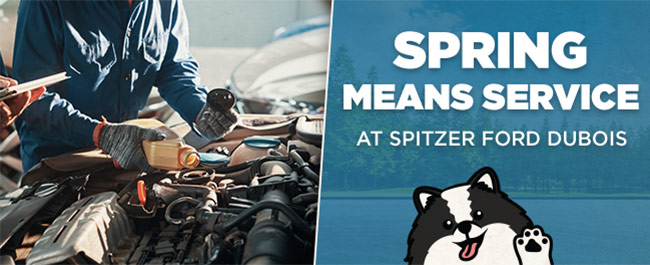 trust our talented techs to premium panda service from Spitzer Ford DuBois