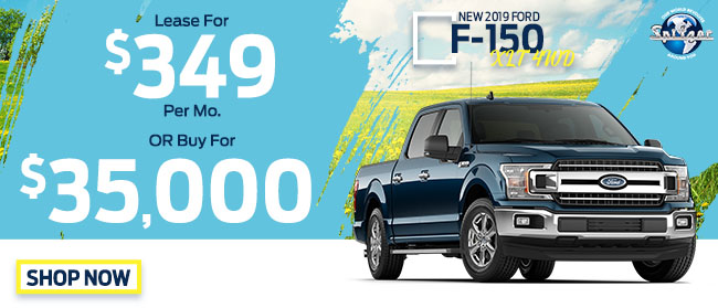 New 2019 Ford F-150 XLT 4WD