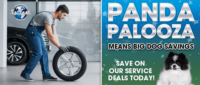 Panda Palooza Means big dog savings - save on our service deals today