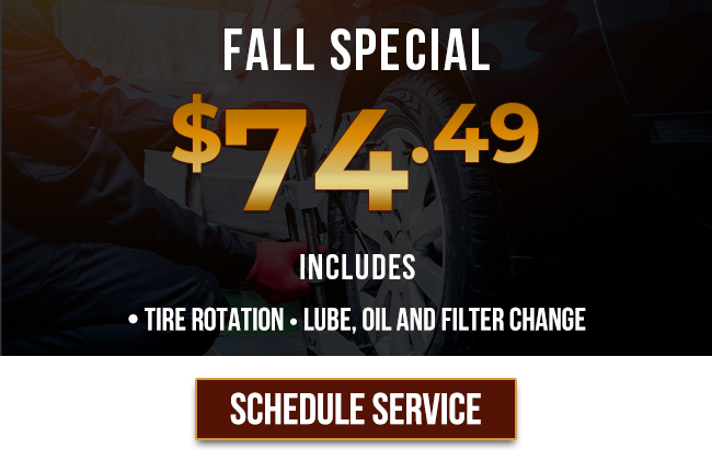 Fall Special