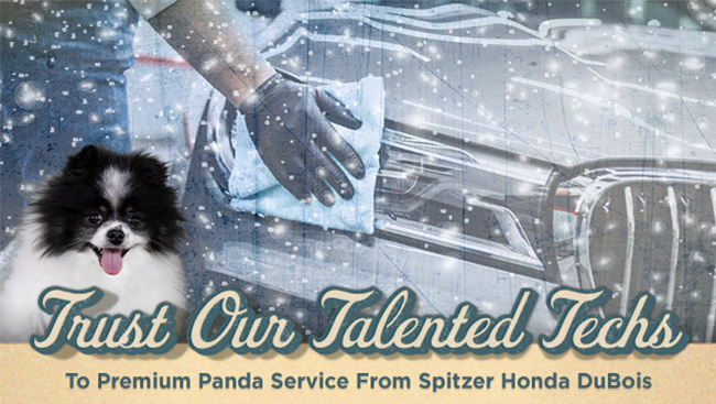 trust our talented techs to Premium Panda service from Spitzer Honda DuBois