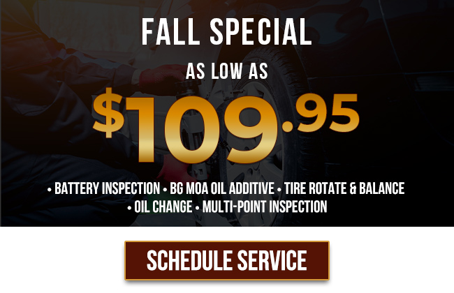 Fall Specials