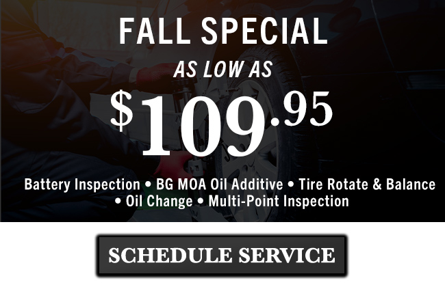 Fall Specials