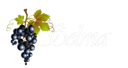 Selma Honda Logo