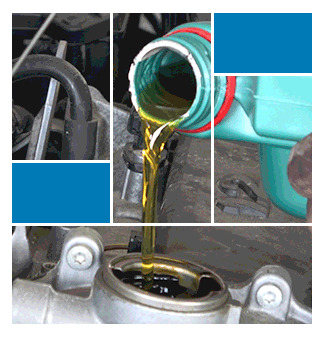 Oil Change with Multi-Point Inspection & tire rotation