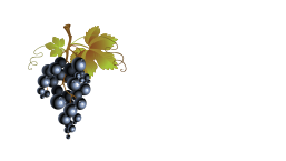 Selma Hyundai Logo