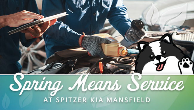 spring service savings at Spitzer