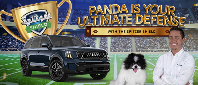 panda is your ultimate defense with the spitzer shield