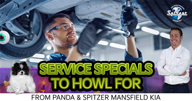 Service Specials to Howl For
