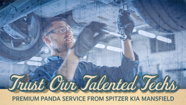 Trust Our Talented Techs - Premium Panda Service