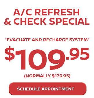 A/C Refresh & Check Special