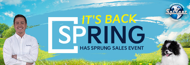 it's spring is sprung sales event