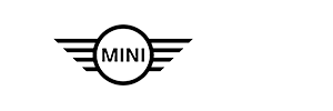South Motors MINI