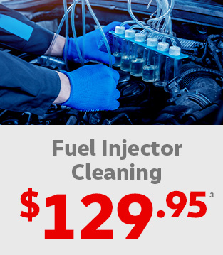 $129.95 Fuel Injector Cleaning