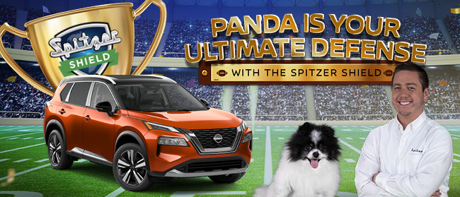 Panda is your Ultimate defense with Spitzer Shield