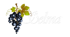 Selma Nissan Logo