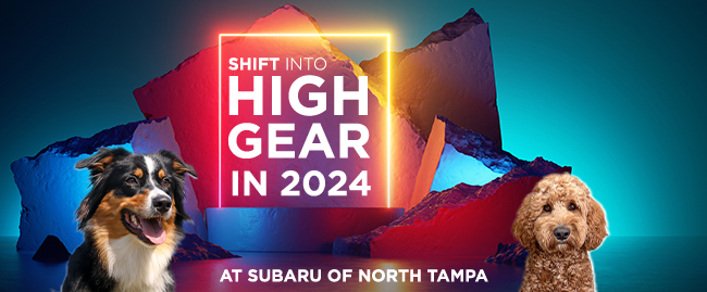 Shift into High Gear in 2024