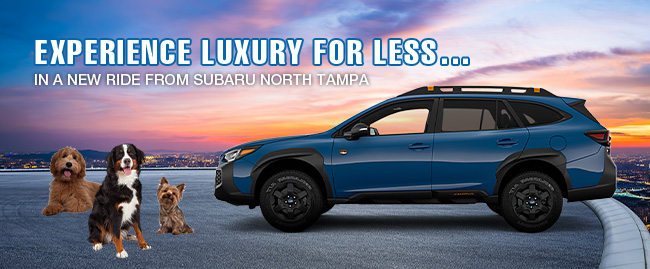 Victory is yours wuth Subaru of North Tampa