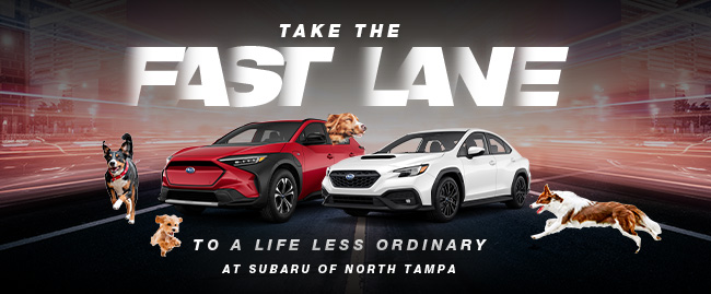 Victory is yours wuth Subaru of North Tampa