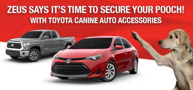 Toyota Canine Auto Accessories