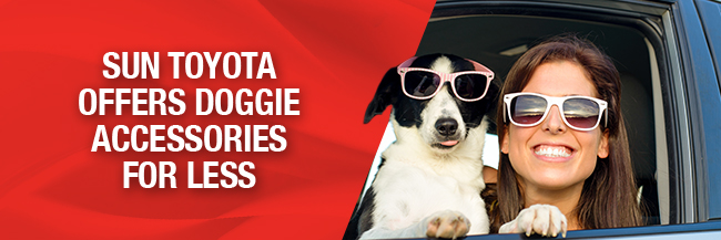 Sun Toyota Offers Doggie Accessories For Less