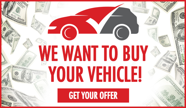 We Want To Buy Your Car