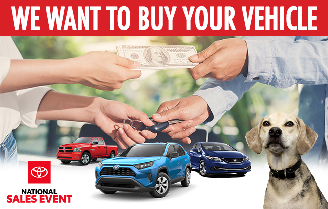 We Want To Buy Your Car