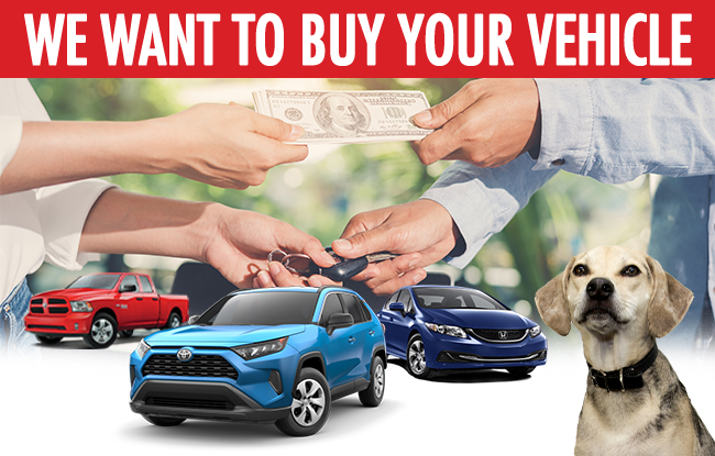 We Want To Buy Your Car