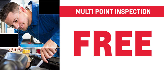 Free Multi Point Inspection
