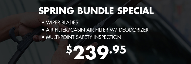 Spring Bundle Special