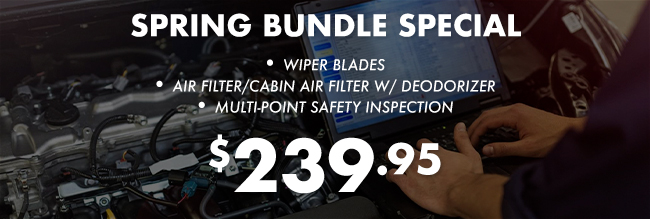 Spring Bundle special