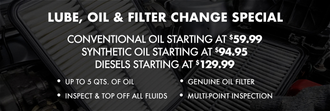 Lube, oil and filter change special